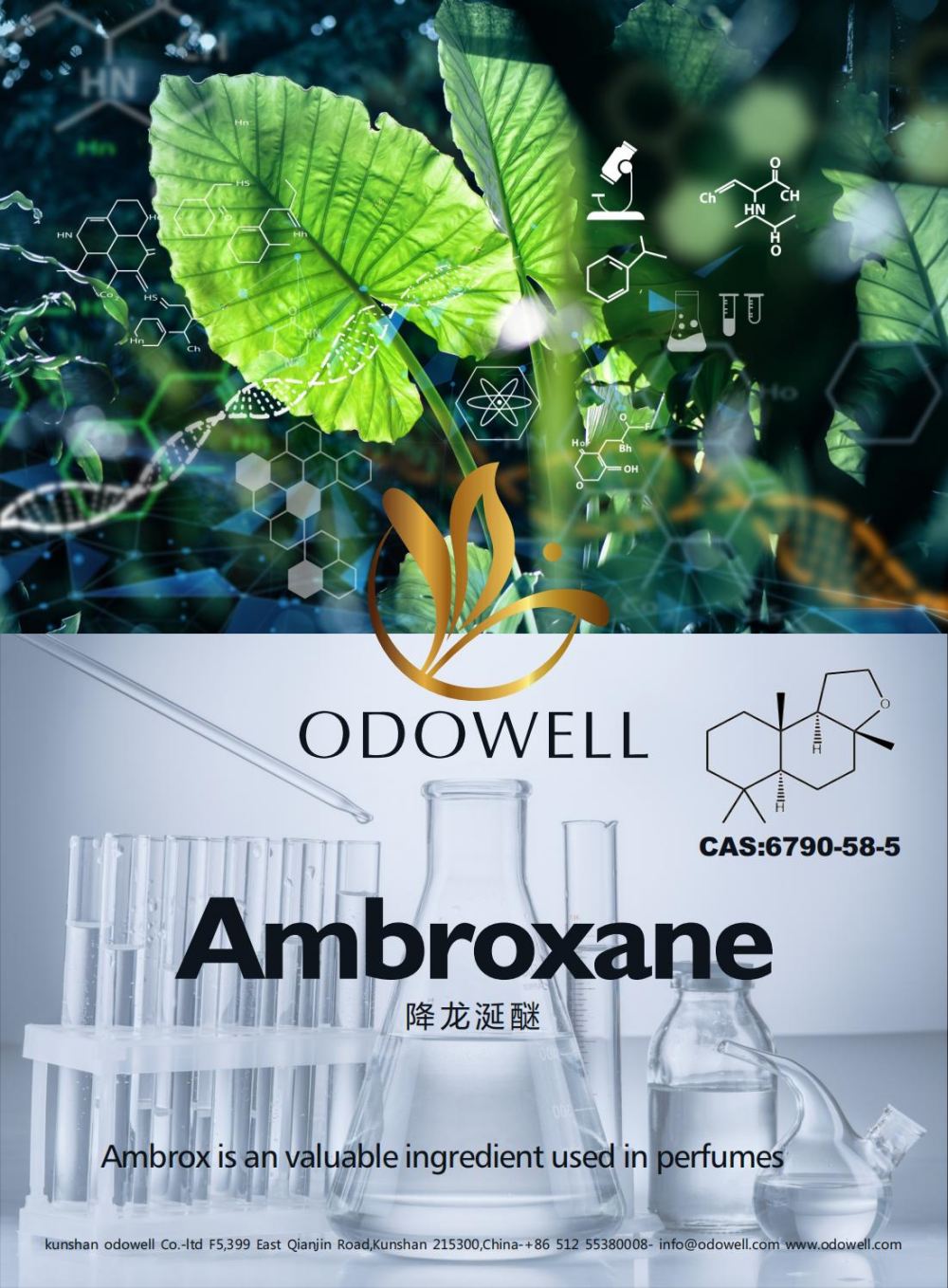 Odowell feiert ein erfolgreiches Jahr für Ambroxane (Ambrox)