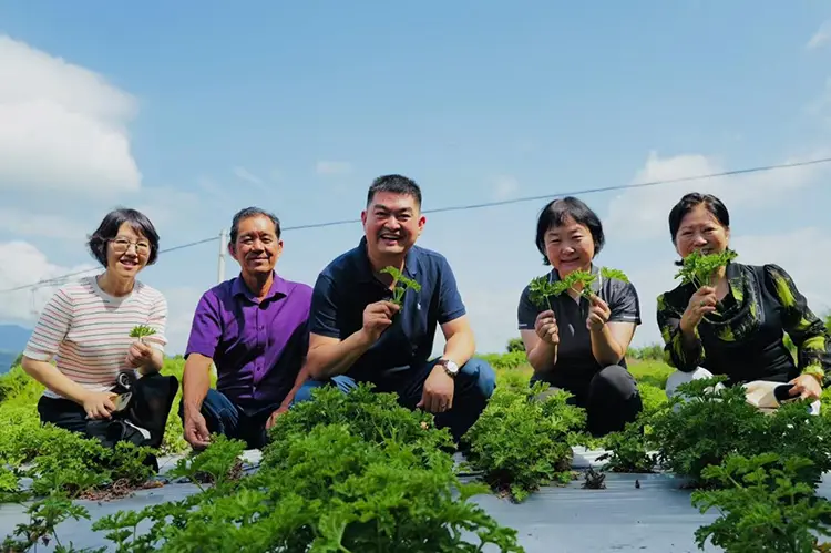 Odowells Yunnan Forschungs- und Studienreise im August 2025