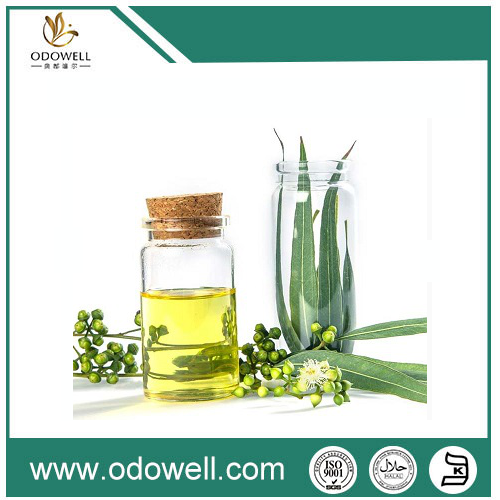 Einführung unseres Premium -Eukalyptusöls (Eucalyptus globulus) - natural, authentisch und vielseitig