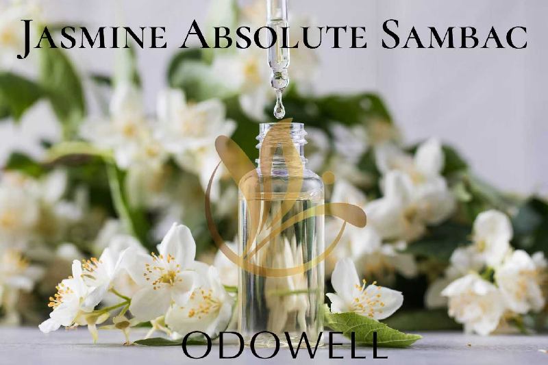 ​ODOWELL bringt Jasmine Absolute Sambac auf den Markt – ein erstklassiges natürliches Jasmin-Absolue für Parfüm und Schönheit