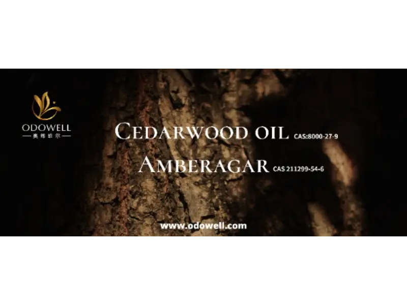 Ist Ihr charakteristischer Duft wirklich einzigartig?