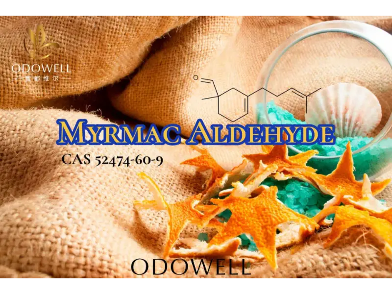 Myrmac Aldehyde – ODOWELLs ozonischer Meeresaldehyd für frische Outdoor-Düfte