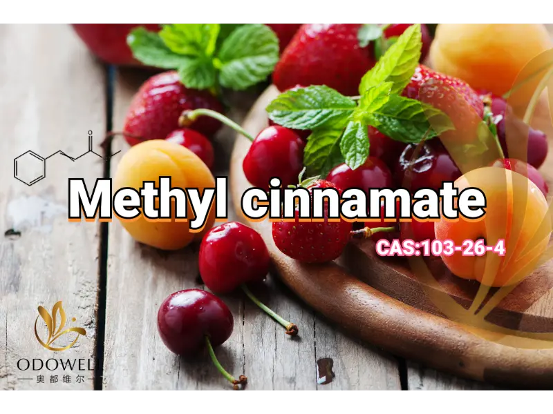 Methylcinnamat – ODOWELLs süßer fruchtig-balsamischer Ester für orientalische Düfte