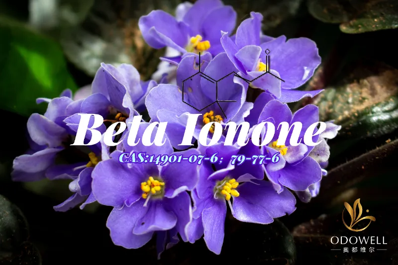 Beta-Ionon – ODOWELLs klassisches violett-holziges Keton für feine Dufttiefe