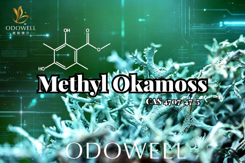 ​ODOWELL stellt Methyl Okamoss vor: Authentisches synthetisches Eichenmoos für die Chypre- und Fougère-Meisterschaft