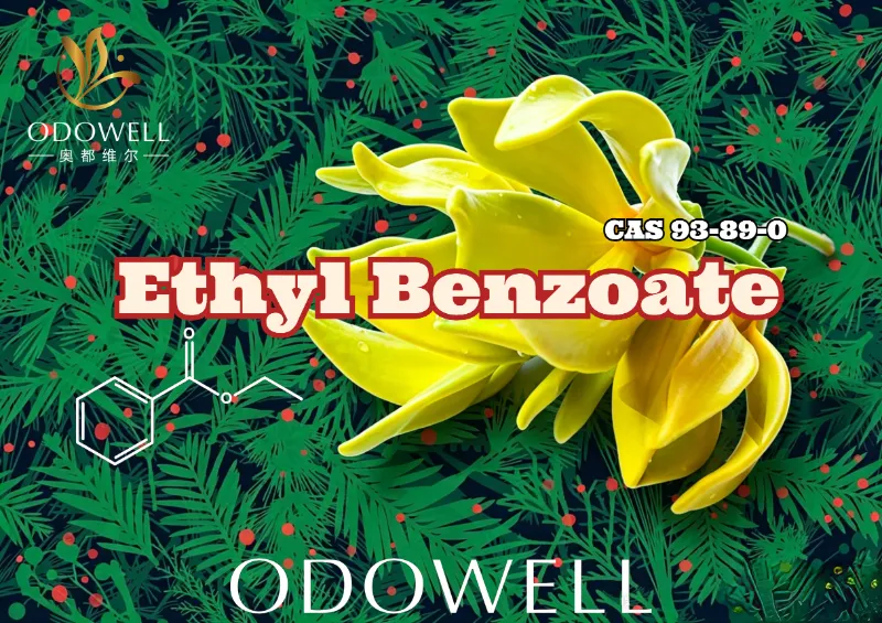 ODOWELL bringt Ethylbenzoat auf den Markt: Warmer Wintergrün-Ylang-Ester für blumige und orientalische Eleganz