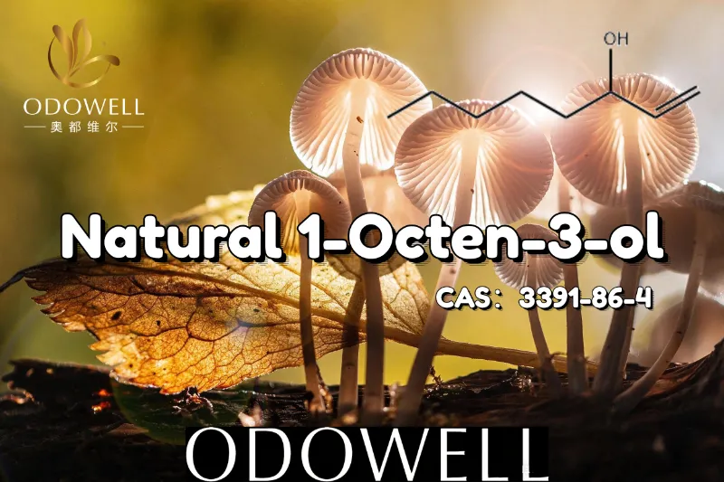 ​ODOWELL empfiehlt natürliches 1-Octen-3-ol für Anwendungen mit pilzartigem und erdigem Geschmack