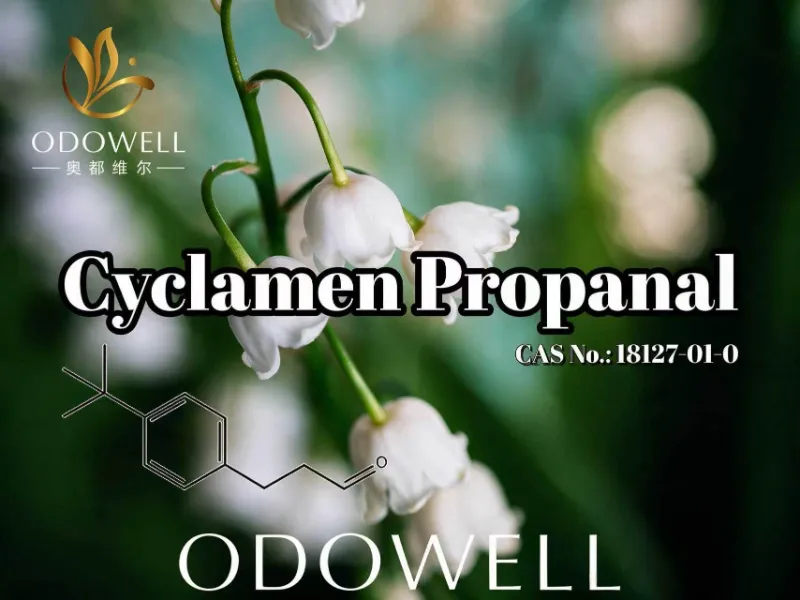 ​ODOWELL empfiehlt Cyclamen-Propanal für Anwendungen mit frischen Blumen- und Muguet-Duftstoffen