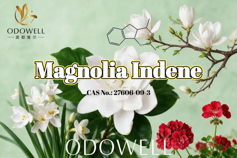 ODOWELL empfiehlt Magnolia Indene für Anwendungen mit frischen, blumig-grünen und zitrischen Düften