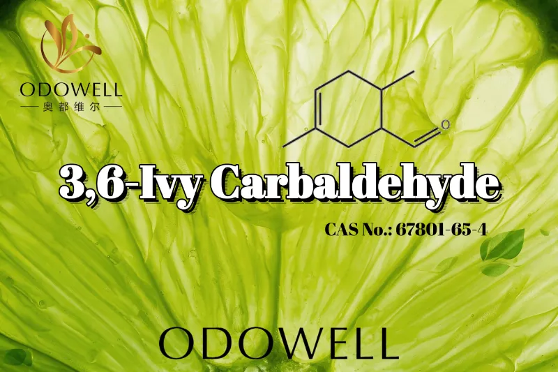 ​ODOWELL empfiehlt 3,6-Efeu-Carbaldehyd für intensiv grüne und säuerliche Zitrusduftanwendungen